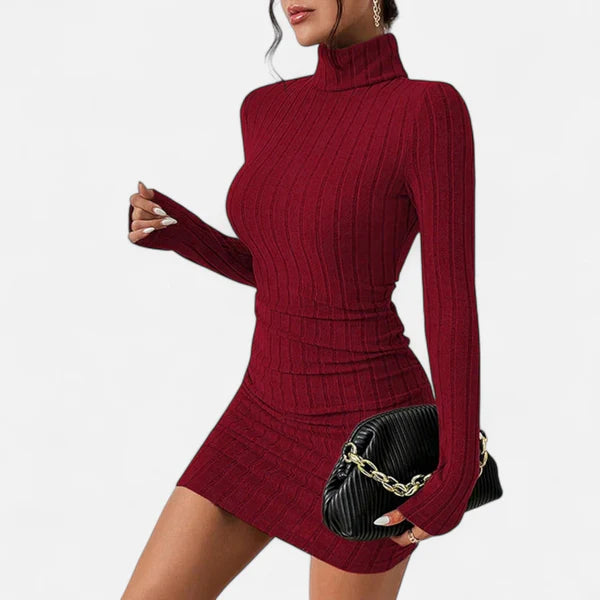 Marie | Women’s Turtleneck Long Sleeve Ribbed Mini Dress